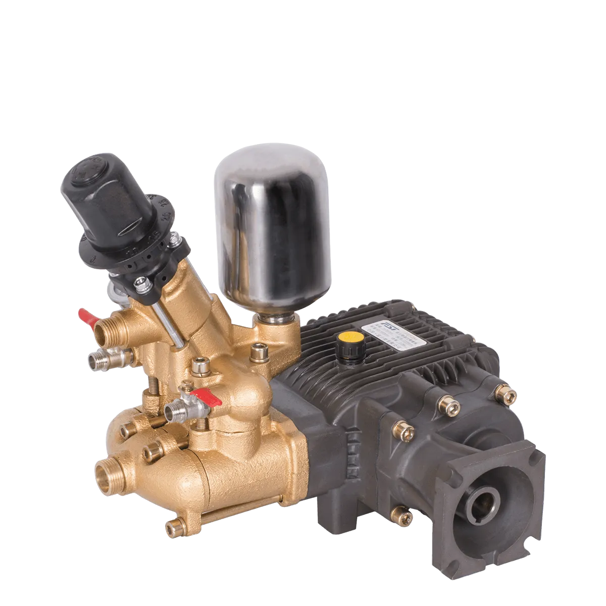 FST-25H-1 Power Sprayer Pump